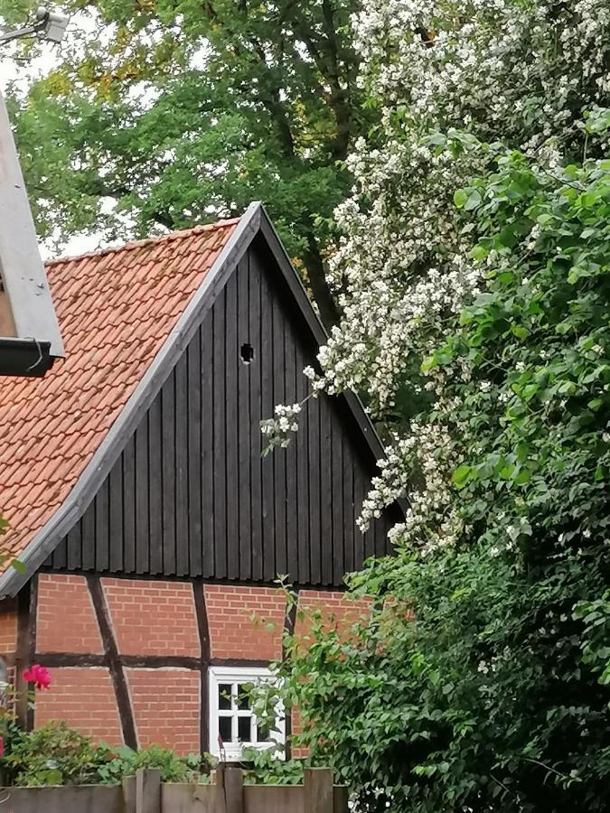 Ferienhaus In Rumke Bippen المظهر الخارجي الصورة