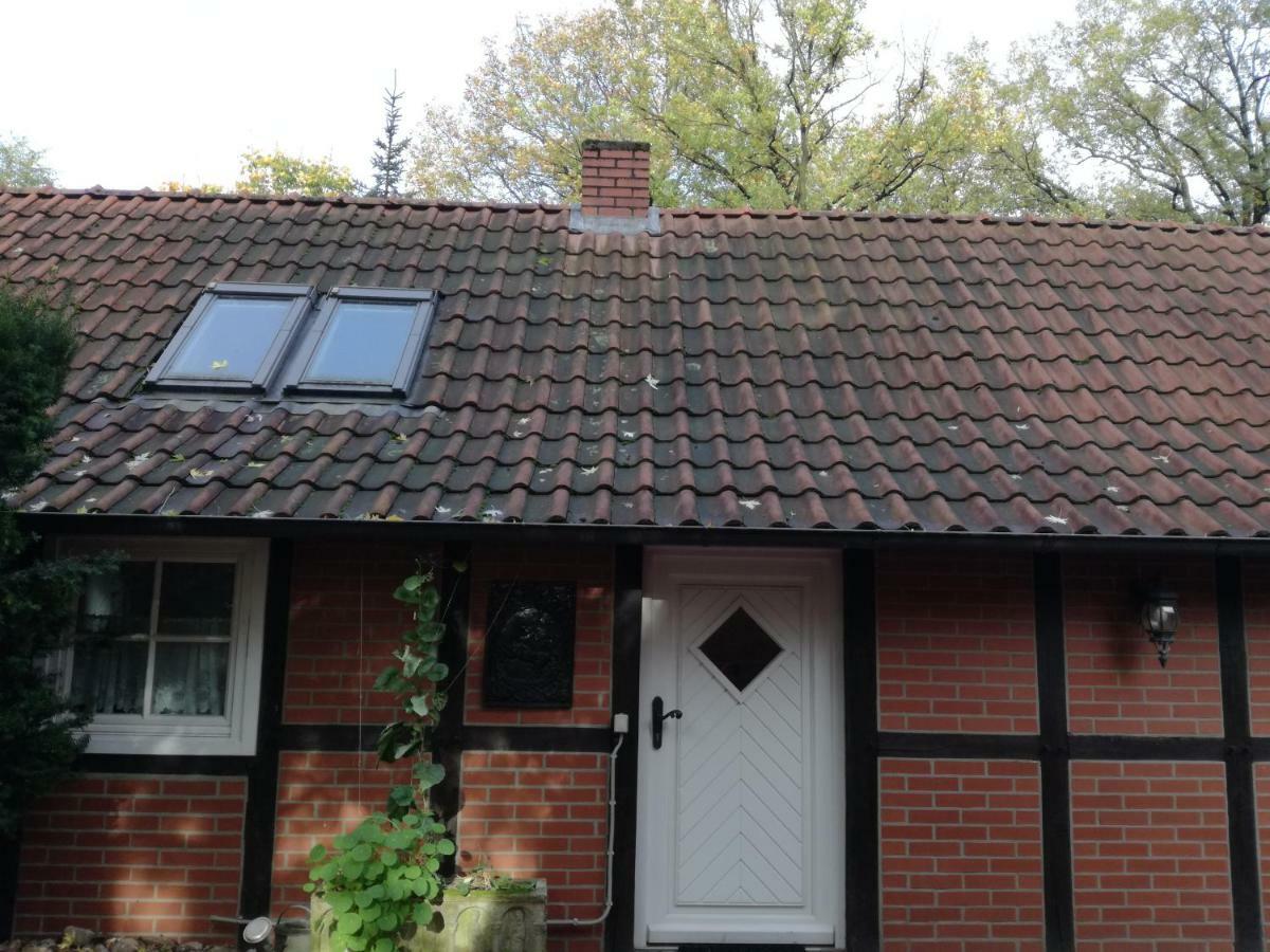Ferienhaus In Rumke Bippen المظهر الخارجي الصورة