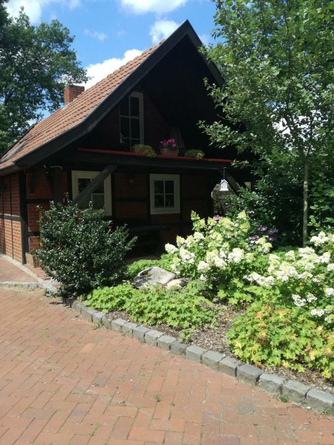 Ferienhaus In Rumke Bippen المظهر الخارجي الصورة