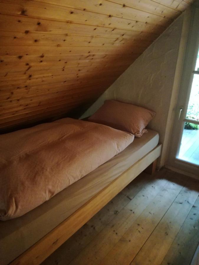 Ferienhaus In Rumke Bippen المظهر الخارجي الصورة
